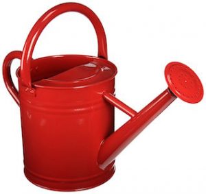 Gardener's Select AW3003P6LZ Watering Can